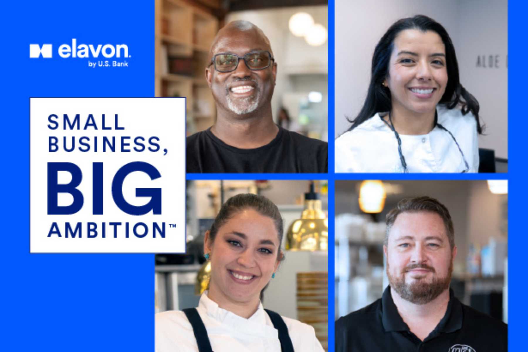 Multiple entrepreneurs and business owners